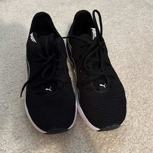 Black and white puma - Picture 1 of 3